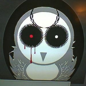 Meet your Posher, Francisco